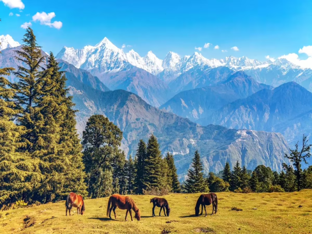 10 Hidden Gems in India Every Traveler Must Visit once image